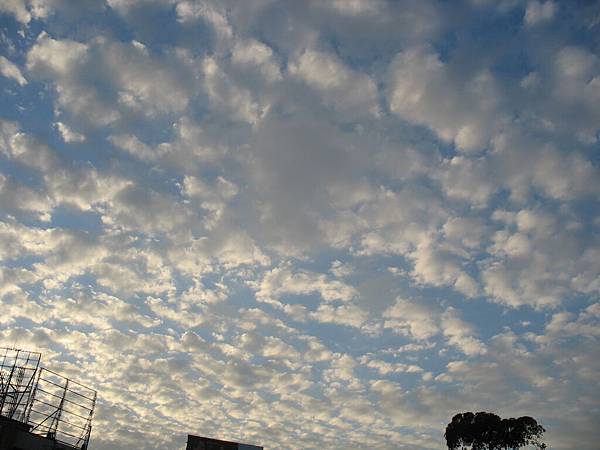 我喜歡今天的雲