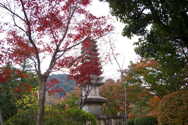 清水寺