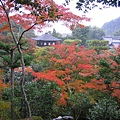 銀閣寺_楓紅