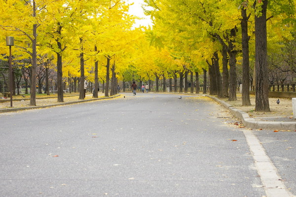 大阪城公園