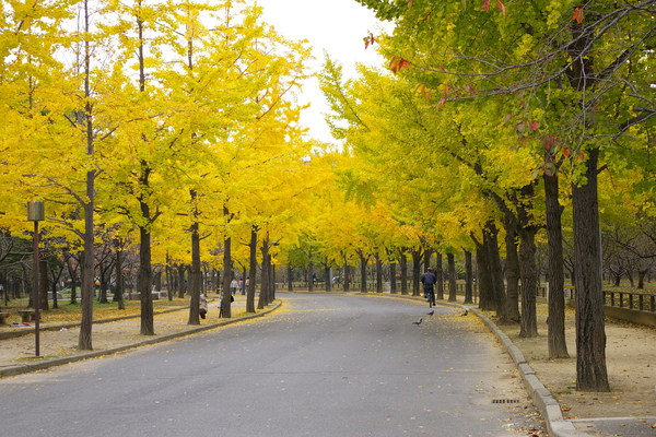 大阪城公園