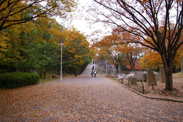 大阪城公園