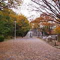 大阪城公園