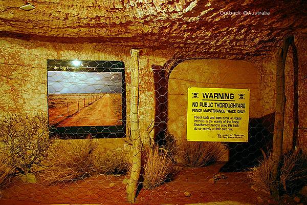 DSC_2003 DSC_2003