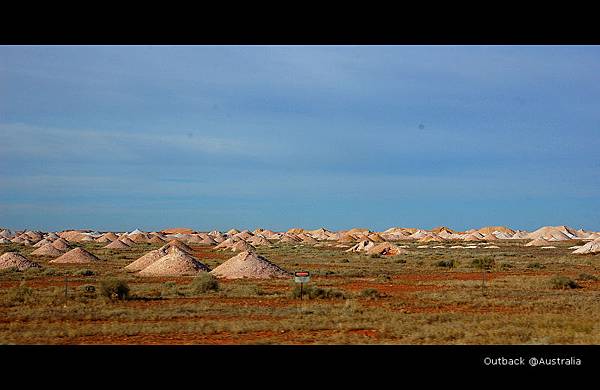 DSC_2073 DSC_2073
