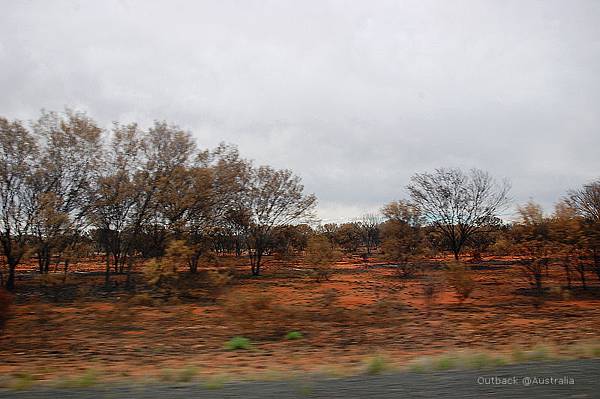 DSC_2165 DSC_2165