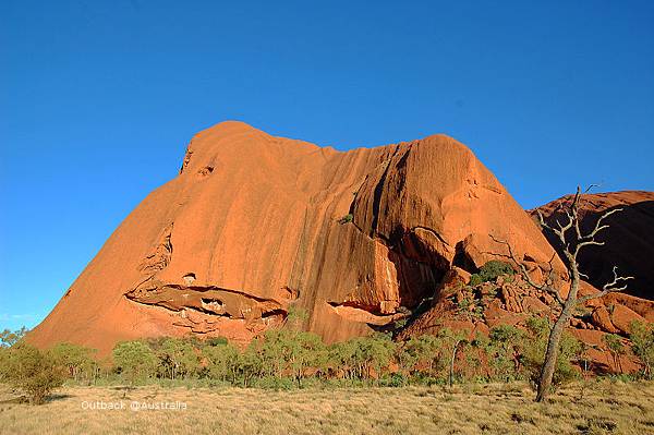 DSC_2426 DSC_2426