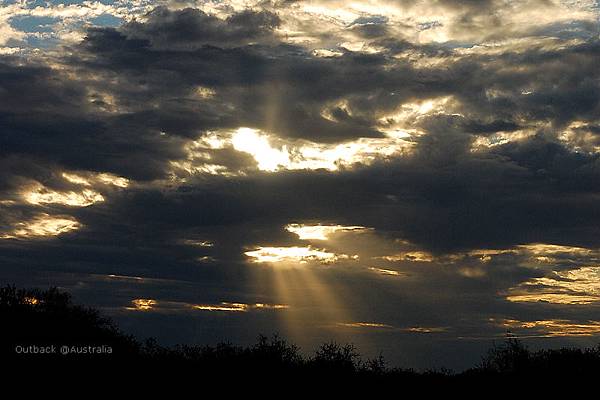 DSC_2563 DSC_2563