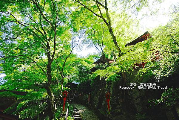 DSCF0492 DSCF0492