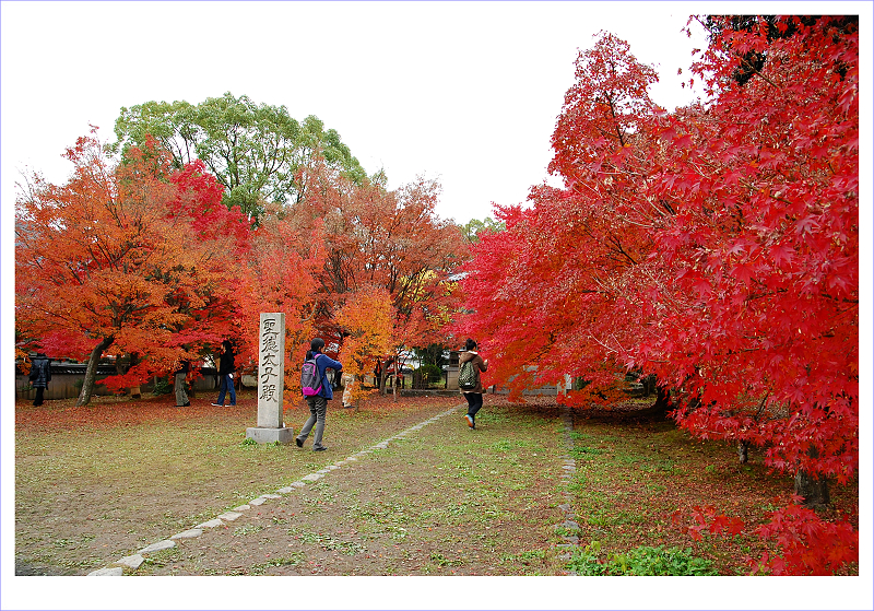 清涼寺03.jpg