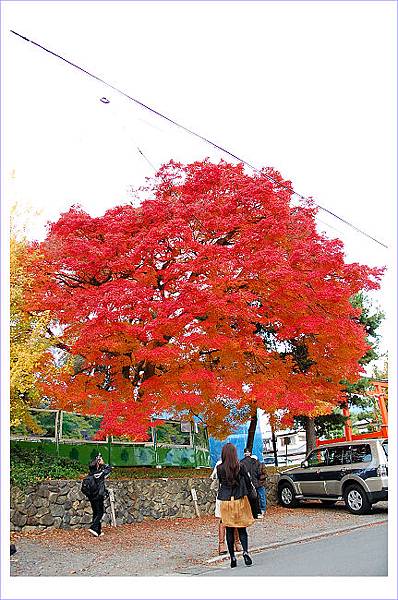 清涼寺16.jpg