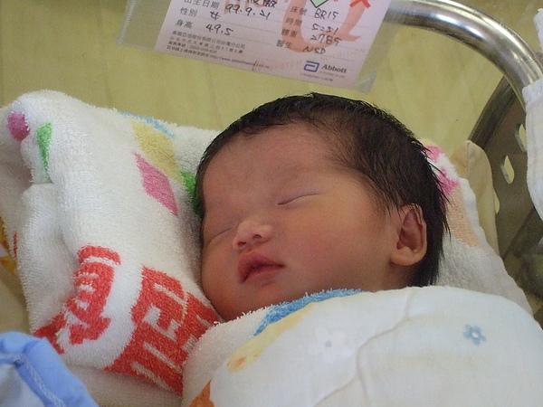 照片 030.jpg