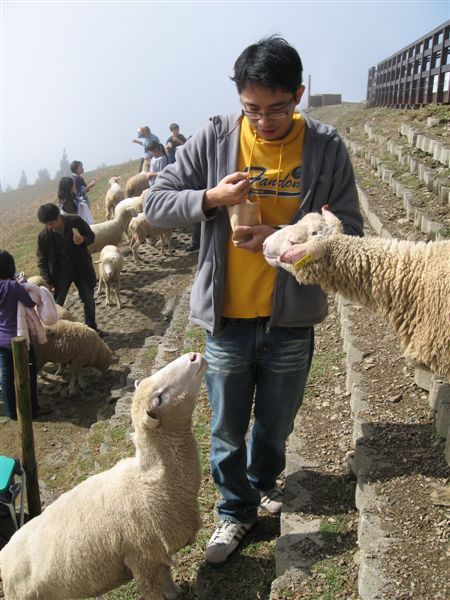 是有點可怕的經驗...