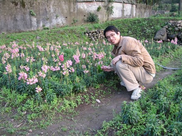 還是女生比較適合和花拍照