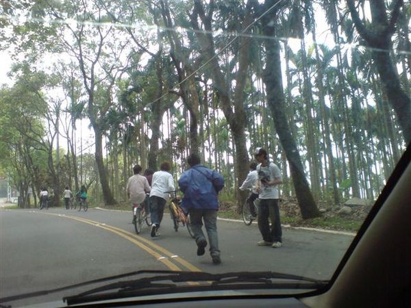 集集綠色隧道 -- 一群騎著腳踏車的年輕人