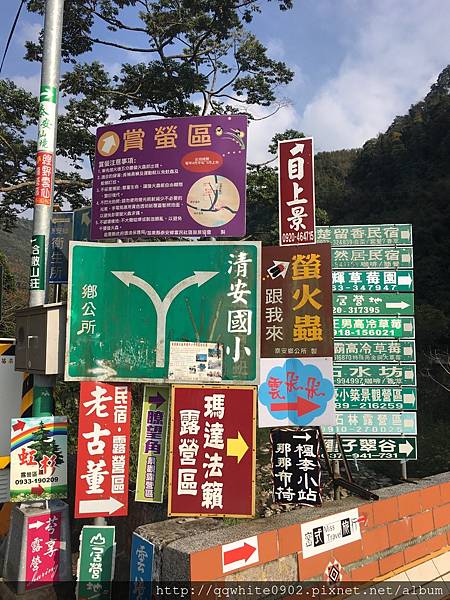 看高山美景長大的草莓 劉正男高冷草莓 媽咪拜mamibuy 看高山美景長大的草莓 劉正男高冷草莓 媽咪拜mamibuy