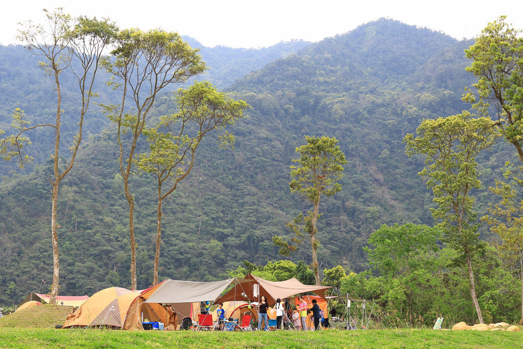 nEO_IMG_IMG_3510.jpg nEO_IMG_IMG_3510.jpg