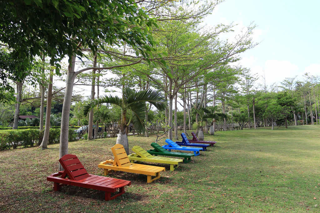 nEO_IMG_IMG_4387.jpg nEO_IMG_IMG_4387.jpg