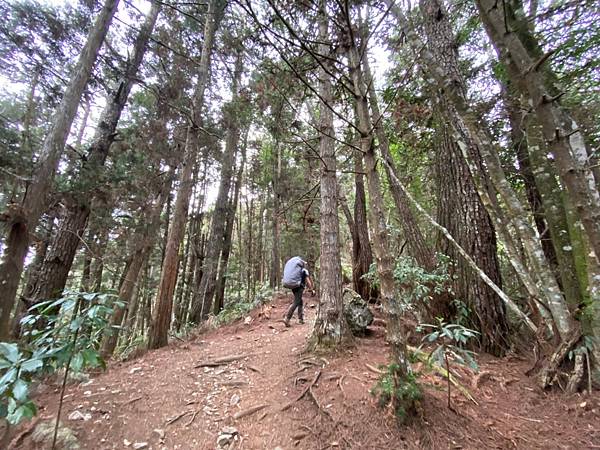 20210425小黑伴遊之意外連連馬崙山行_210426_45.jpg