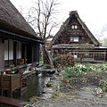 合掌村-屋後花園.jpg