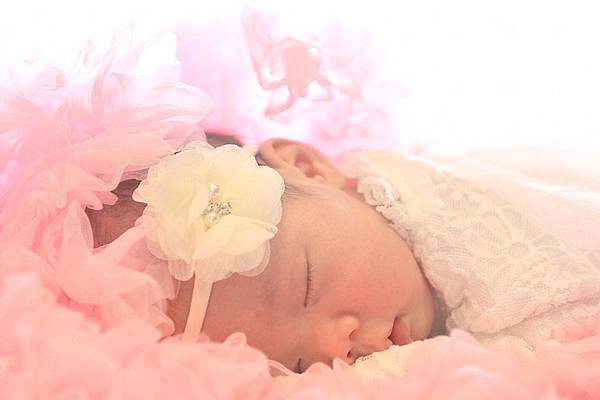 51650018_2212003145529725_4693537044138295296_o.jpg 51650018_2212003145529725_4693537044138295296_o.jpg