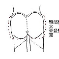 產後骨盆變 寬2