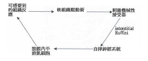 頭痛痛到眼睛裡2