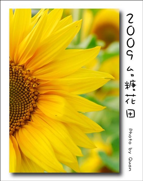 2009台糖花田0033.jpg 2009台糖花田0033.jpg