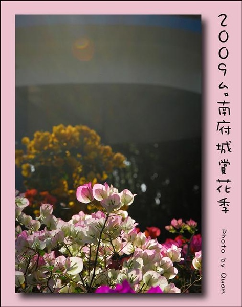 2009台南府城賞花季0045.jpg 2009台南府城賞花季0045.jpg