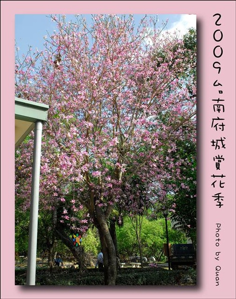 2009台南府城賞花季0062.jpg 2009台南府城賞花季0062.jpg