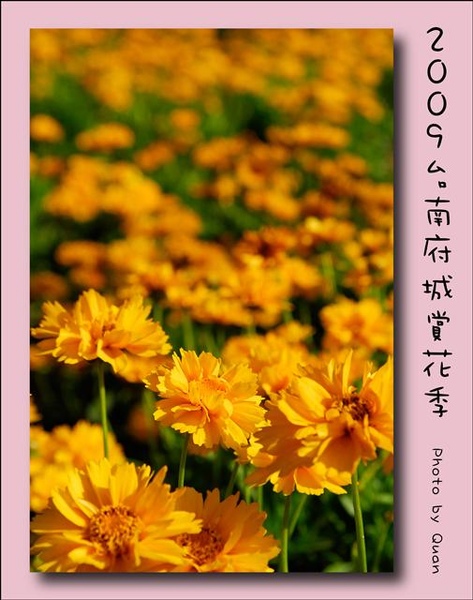 2009台南府城賞花季0068.jpg 2009台南府城賞花季0068.jpg