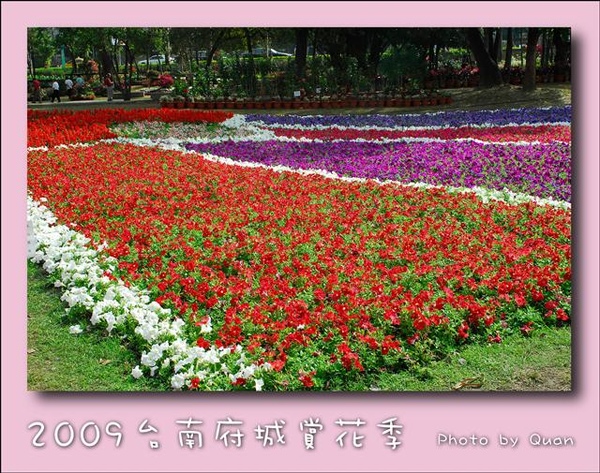 2009台南府城賞花季0092.jpg