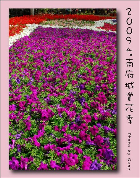 2009台南府城賞花季0096.jpg 2009台南府城賞花季0096.jpg