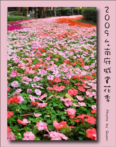 2009台南府城賞花季0110.jpg 2009台南府城賞花季0110.jpg