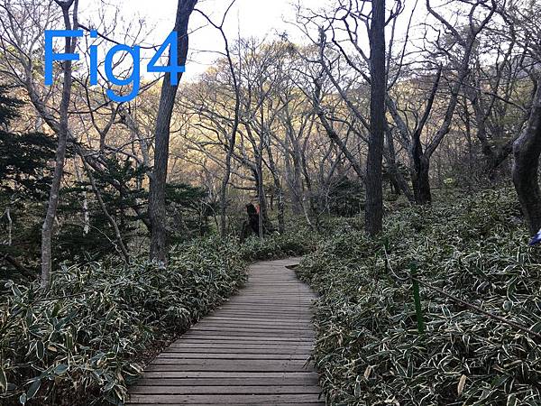 5885DD7C-6A01-4569-BBC2-E79DA12DF1D8.jpeg 5885DD7C-6A01-4569-BBC2-E79DA12DF1D8.jpeg