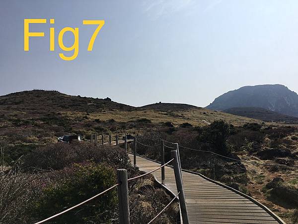 1F4D2361-FA44-472F-88A5-E5913AA429FD.jpeg 1F4D2361-FA44-472F-88A5-E5913AA429FD.jpeg