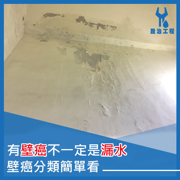 銓治工程-壁癌種類.jpg