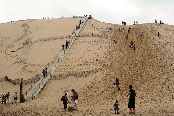 歐洲最高沙丘