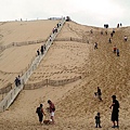 歐洲最高沙丘