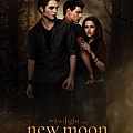 Twilight 2 new moon
