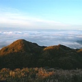 陽明山區彷彿孤島