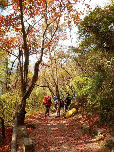 此後開始一路墮落，據說時速只有1 km