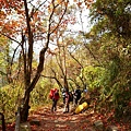 此後開始一路墮落，據說時速只有1 km