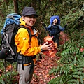 淋一場紅葉雨吧！