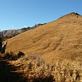 穿越陰冷的背陽古道後，草原閃亮地出現在眼前