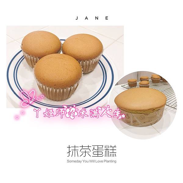 1B4D7A5E-6DDF-4380-ACBA-4521A617BF41.jpeg 1B4D7A5E-6DDF-4380-ACBA-4521A617BF41.jpeg