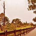 宜蘭太平山翠峰湖步道