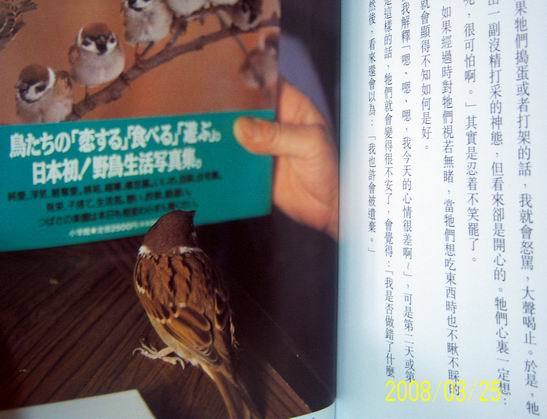 小珠1.jpg