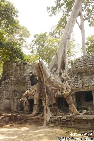 P1130431_調整大小1