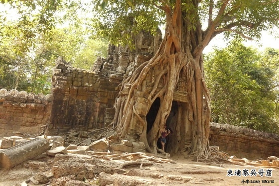 P1130469_調整大小1